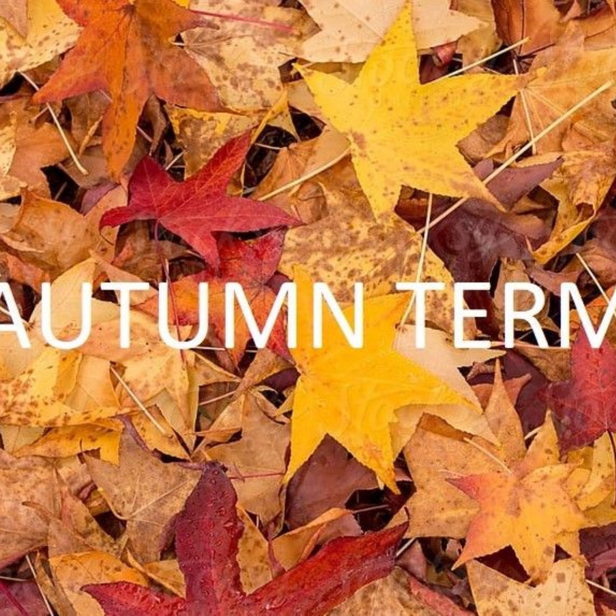 Northway Primary School Autumn Term Activities FREE Northway Primary School Autumn Term Activities FREE
